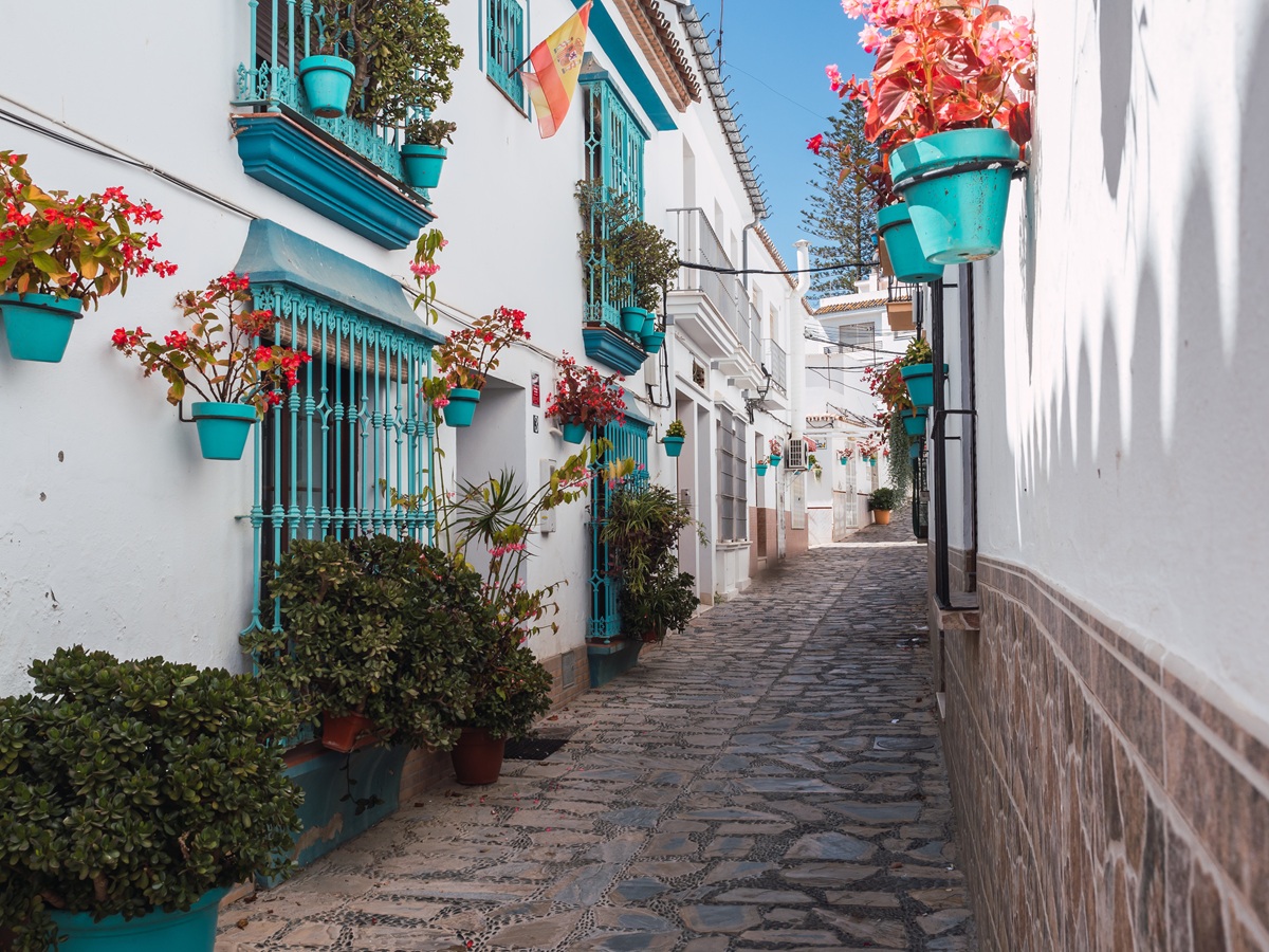 estepona_flower_pots.jpg (460 KB)